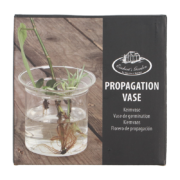 Vase germination à ouvertures multiples