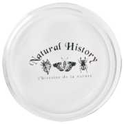 Boite de Pétri 120ml