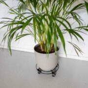 Trolley metaal rond indoor S