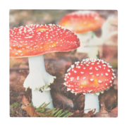 Papieren servetten paddestoel/blad