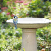 Vogelbad crème op voet