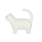 Watering can cat
