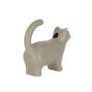 Watering can cat