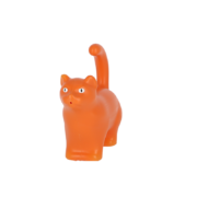 Watering can cat