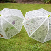 PIY umbrella butterflies