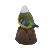 Oiseau de maintien tuteurs
