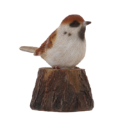 Oiseau de maintien tuteurs