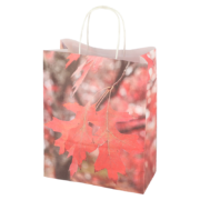 Paper bag toadstool/leaves S