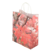 Paper bag toadstool/leaves S
