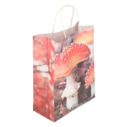 Paper bag toadstool/leaves S