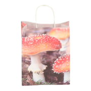 Paper bag toadstool/leaves S