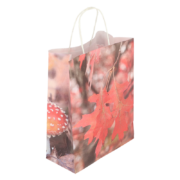 Paper bag toadstool/leaves S