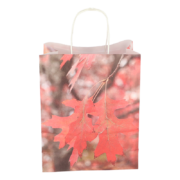 Paper bag toadstool/leaves S