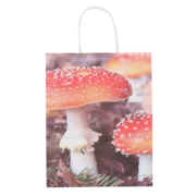 Paper bag toadstool/leaves S