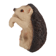 Pothanger egel & eekhoorn