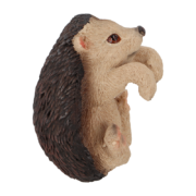 Pothanger egel & eekhoorn