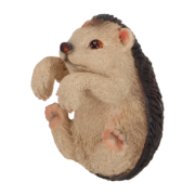 Pothanger egel & eekhoorn