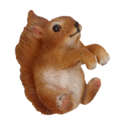 Pothanger egel & eekhoorn