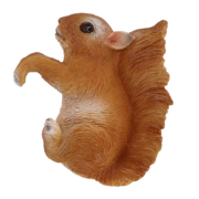 Pothanger egel & eekhoorn