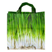 Sac de course légumes