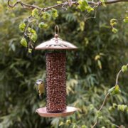 Nut feeder black copper