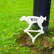 Hondenbordje plassen "No!" wit