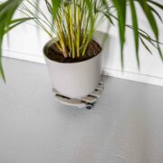 Chariot rond pour plantes d'intérieur couleur grise