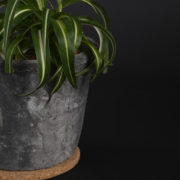 Cork saucer L