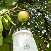 Fruitplukker