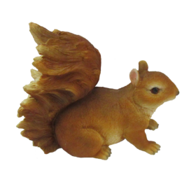 Squirrel L