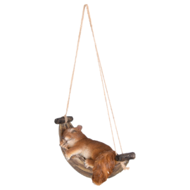 Squirrel in hammock