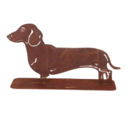 Rust dachshund