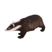 Badger L