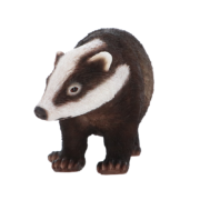 Badger L