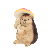 Fly agaric with hedgehog