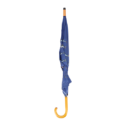 Parapluie variétés de poissons