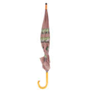 Parapluie variétés de grenouilles