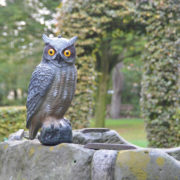 Vogelverschrikker Uil
