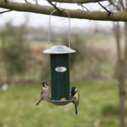 Seed dispenser green