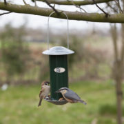 Seed dispenser green