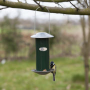 Seed dispenser green