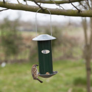 Seed dispenser green