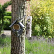 Pindakaashuis oud hout