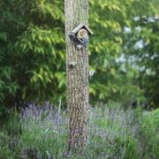 Pindakaashuis oud hout