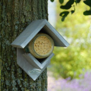 Pindakaashuis oud hout