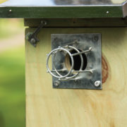 Protection contre les rongeurs