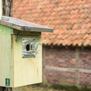 Protection contre les rongeurs