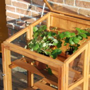 Hardwood greenhouse small
