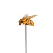 Abeille sur pique