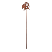 Rost Marienkäfer